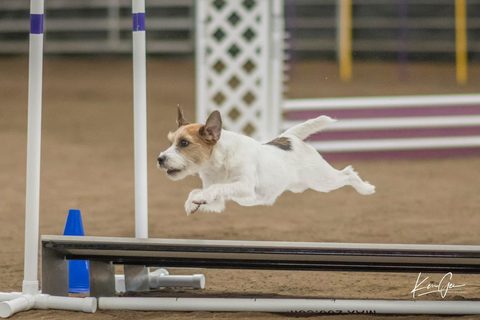 Agility