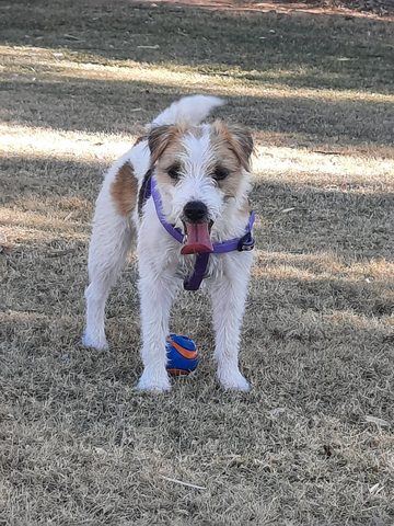 BALL!!!