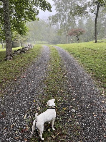 Sampson @ the Groundhog Retreat