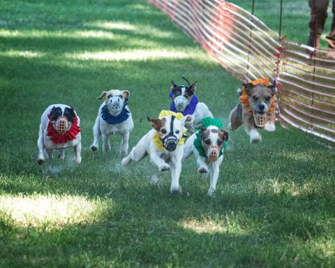 JRT Racing